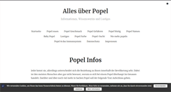 Desktop Screenshot of popel.info